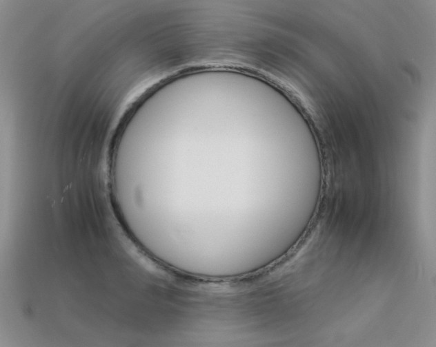 X0000113310990200909141002