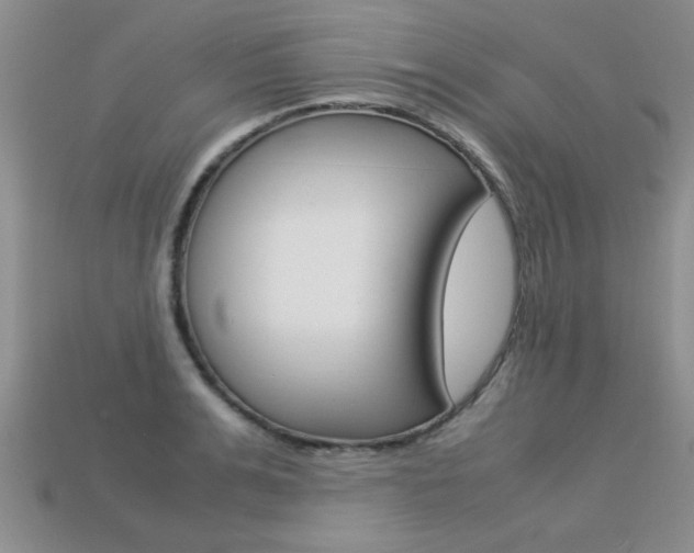 X0000113310991200909141002