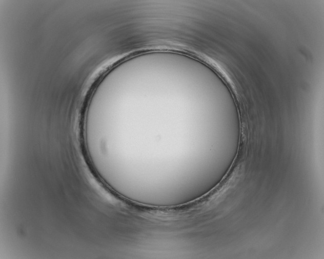 X0000113310995200909141002
