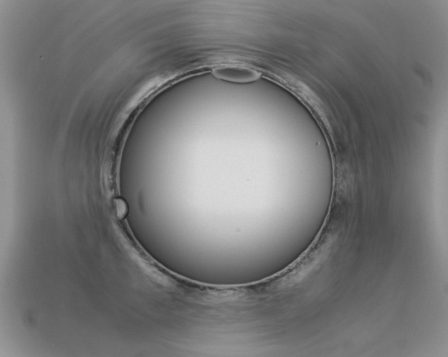 X0000113310997200909141002