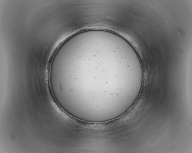 X0000113310998200909141002