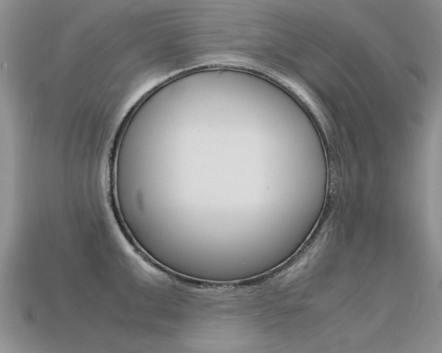 X0000113310999200909141002