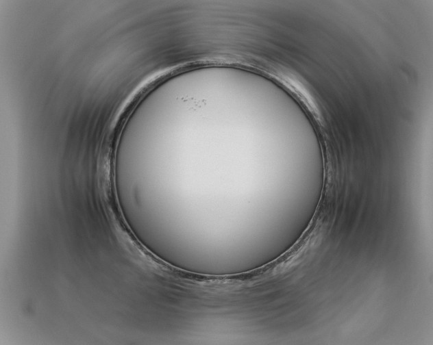 X0000113311000200909141002