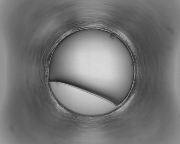 X0000113311001200909141002