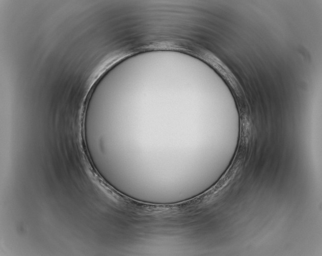 X0000113311002200909141002