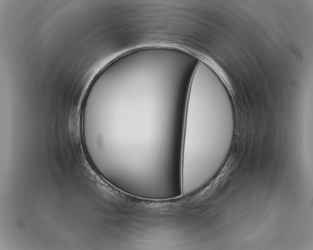 X0000113311004200909141002