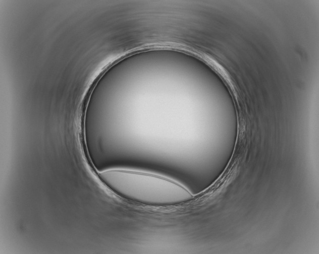 X0000113311005200909141002