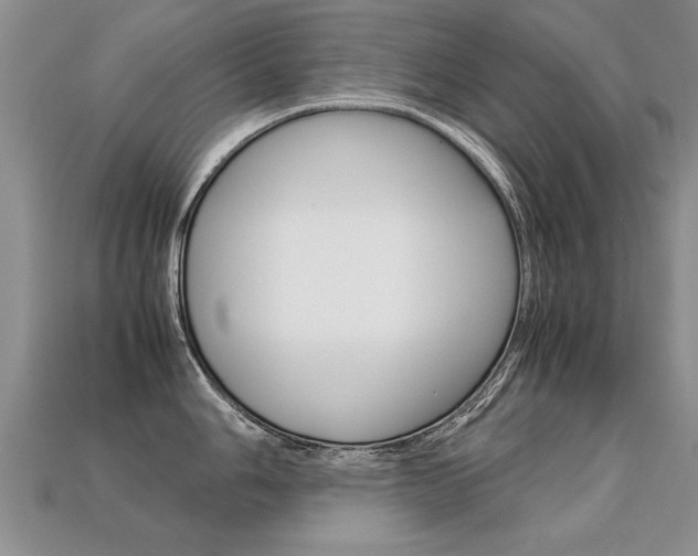 X0000113311006200909141002