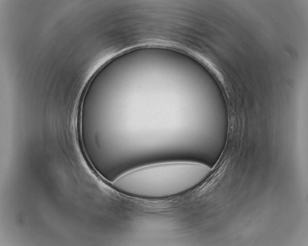 X0000113311007200909141002