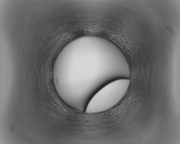 X0000113311009200909141002