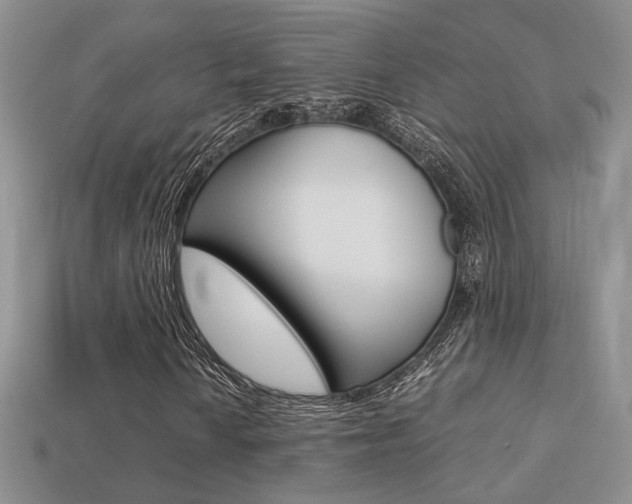 X0000113311010200909141002
