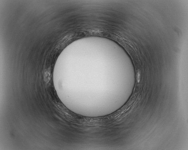 X0000113311011200909141002