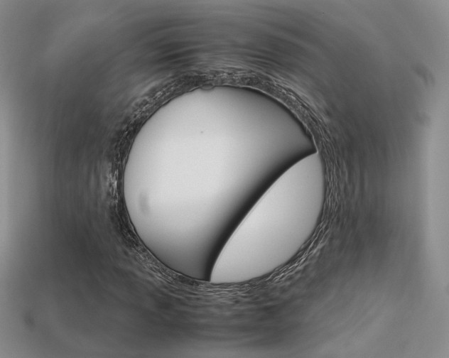 X0000113311013200909141002