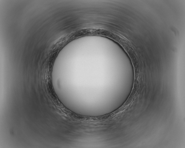 X0000113311014200909141002