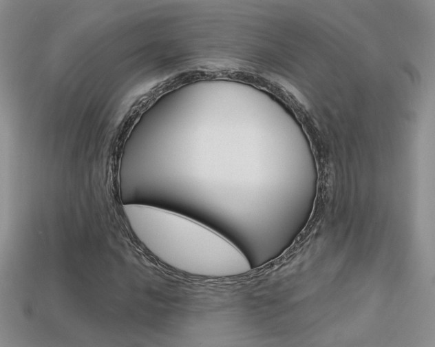 X0000113311016200909141002
