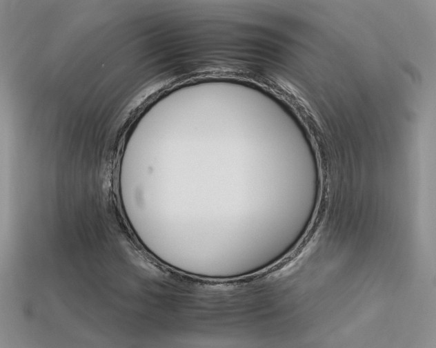 X0000113311017200909141002