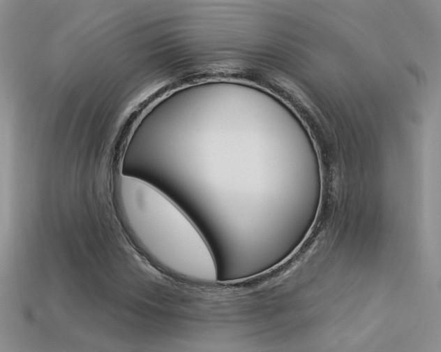 X0000113311018200909141002