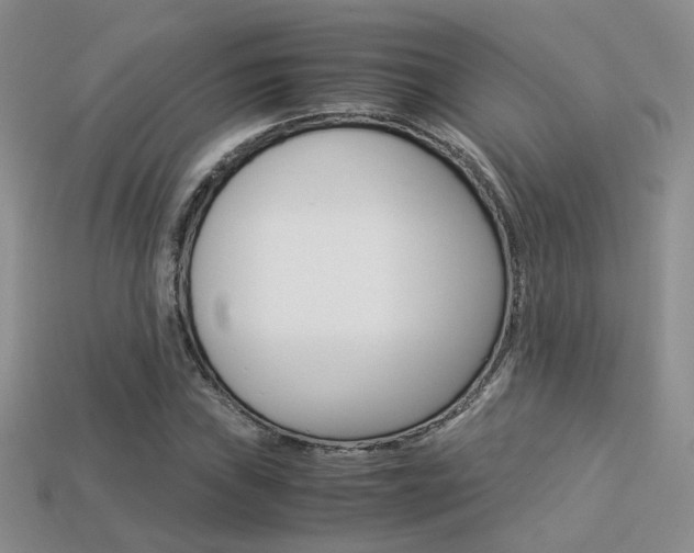 X0000113311019200909141002