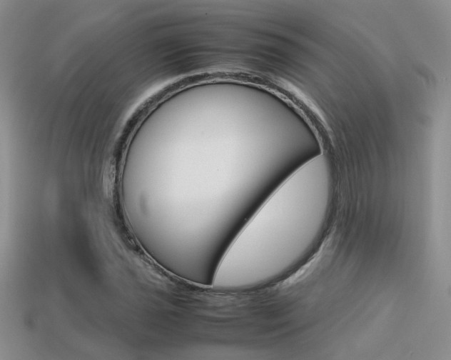 X0000113311021200909141002