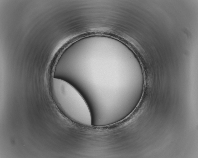 X0000113311022200909141002