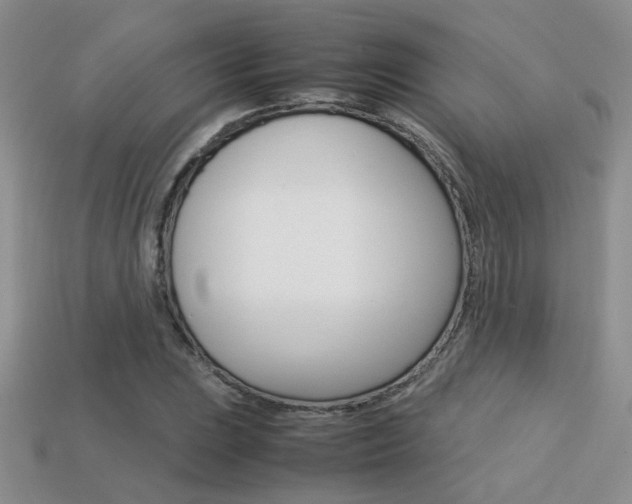 X0000113311023200909141002
