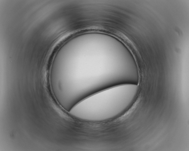 X0000113311029200909141002