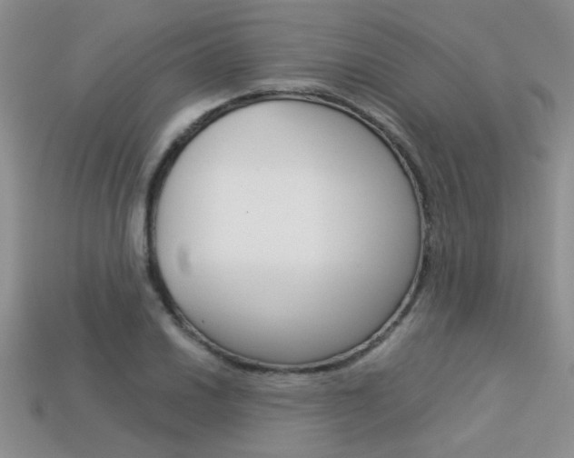 X0000113311030200909141002