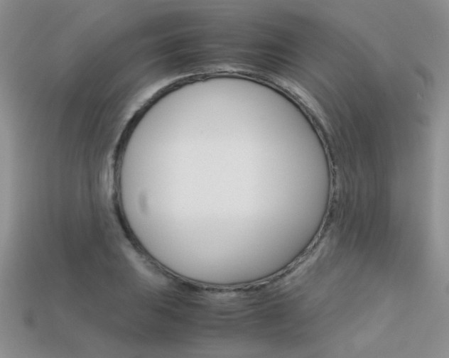 X0000113311031200909141002