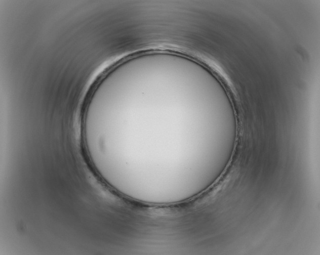 X0000113311032200909141002
