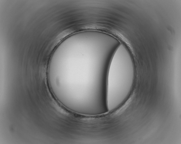 X0000113311033200909141002