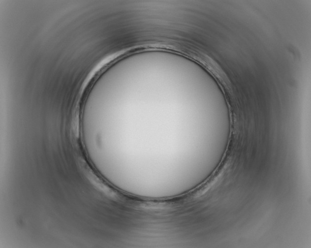X0000113311036200909141002