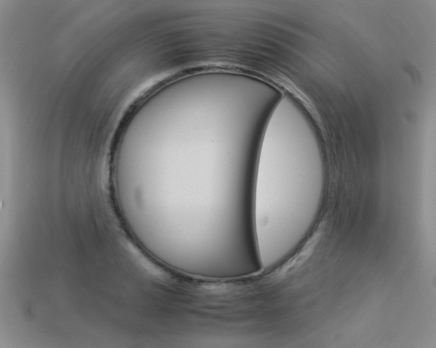 X0000113311037200909141002