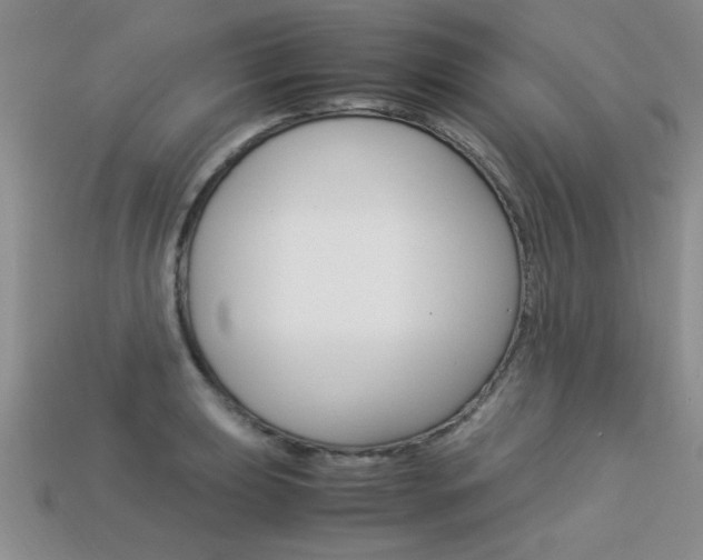 X0000113311039200909141002