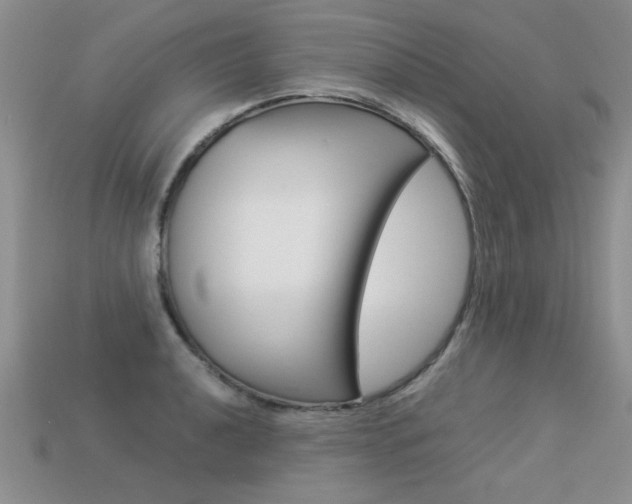 X0000113311040200909141002