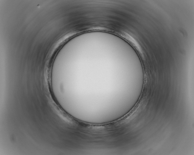 X0000113311043200909141002