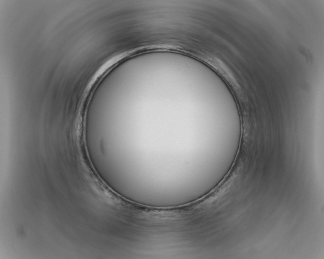 X0000113311044200909141002
