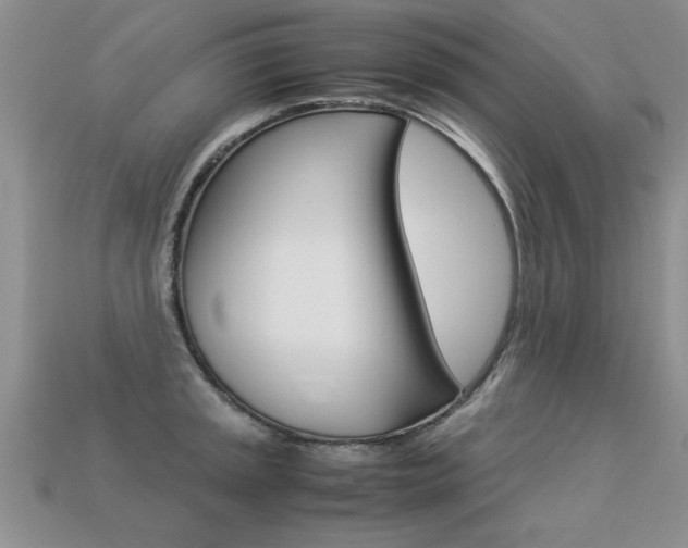 X0000113311045200909141002