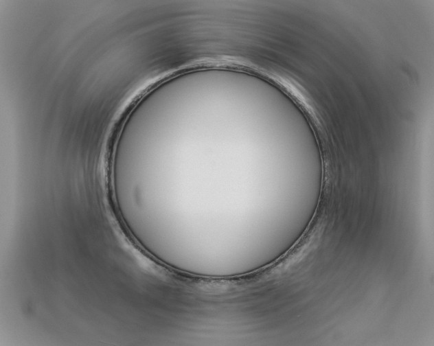 X0000113311046200909141002