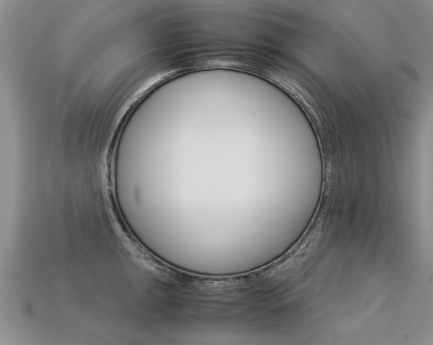 X0000113311047200909141002