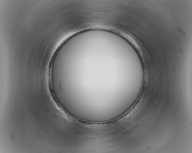 X0000113311048200909141002