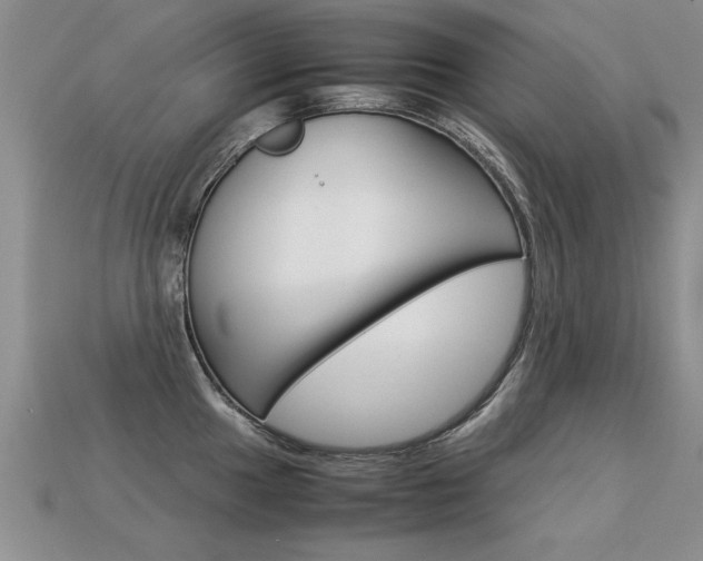 X0000113311049200909141002