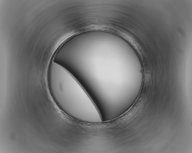 X0000113311050200909141002