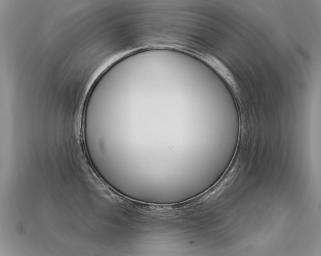 X0000113311052200909141002
