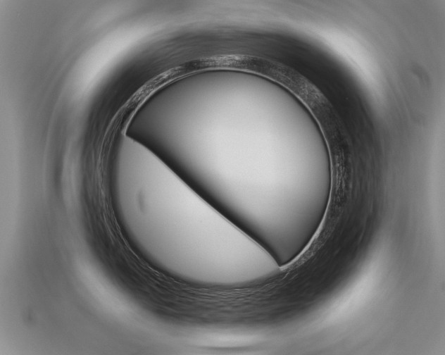 X0000113311054200909141002