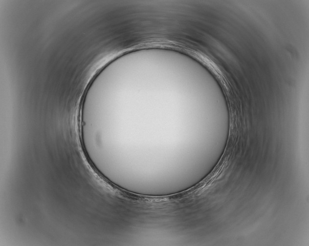 X0000113311055200909141002