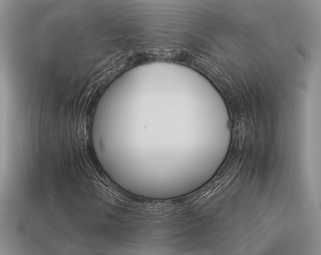X0000113311058200909141002