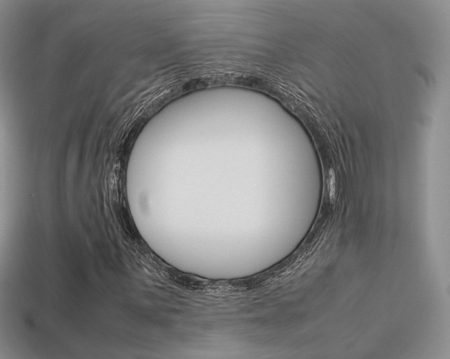 X0000113311059200909141001