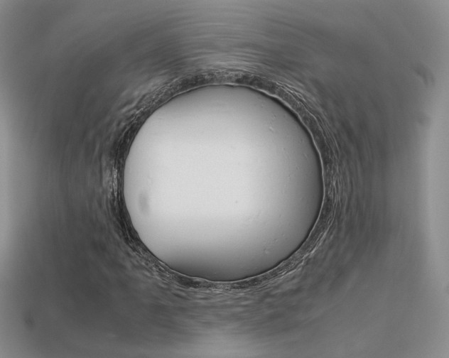 X0000113311061200909141001