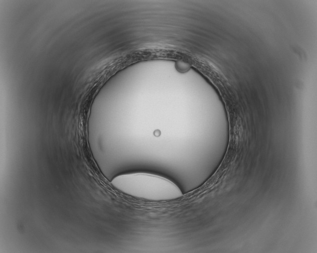 X0000113311062200909141001