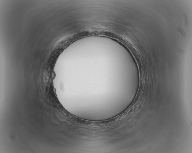 X0000113311063200909141001